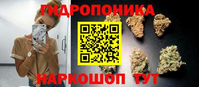 каннабис Шелехов