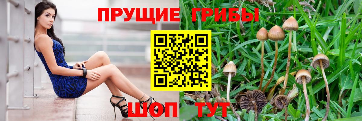 Псилоцибиновые грибы мухоморы Боровичи