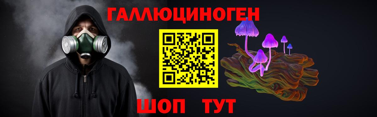 Галлюциногенные грибы MAGIC MUSHROOMS  Вход с VPN  Боровичи 